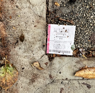 A lottery ticket is lying on a textured concrete surface beside fallen leaves, suggesting it is outdoors. The ground is a mix of dark, wet patches and dry, cracked cement with scattered debris around the ticket.